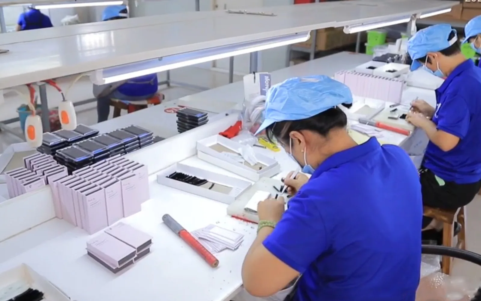 LashPlus production line