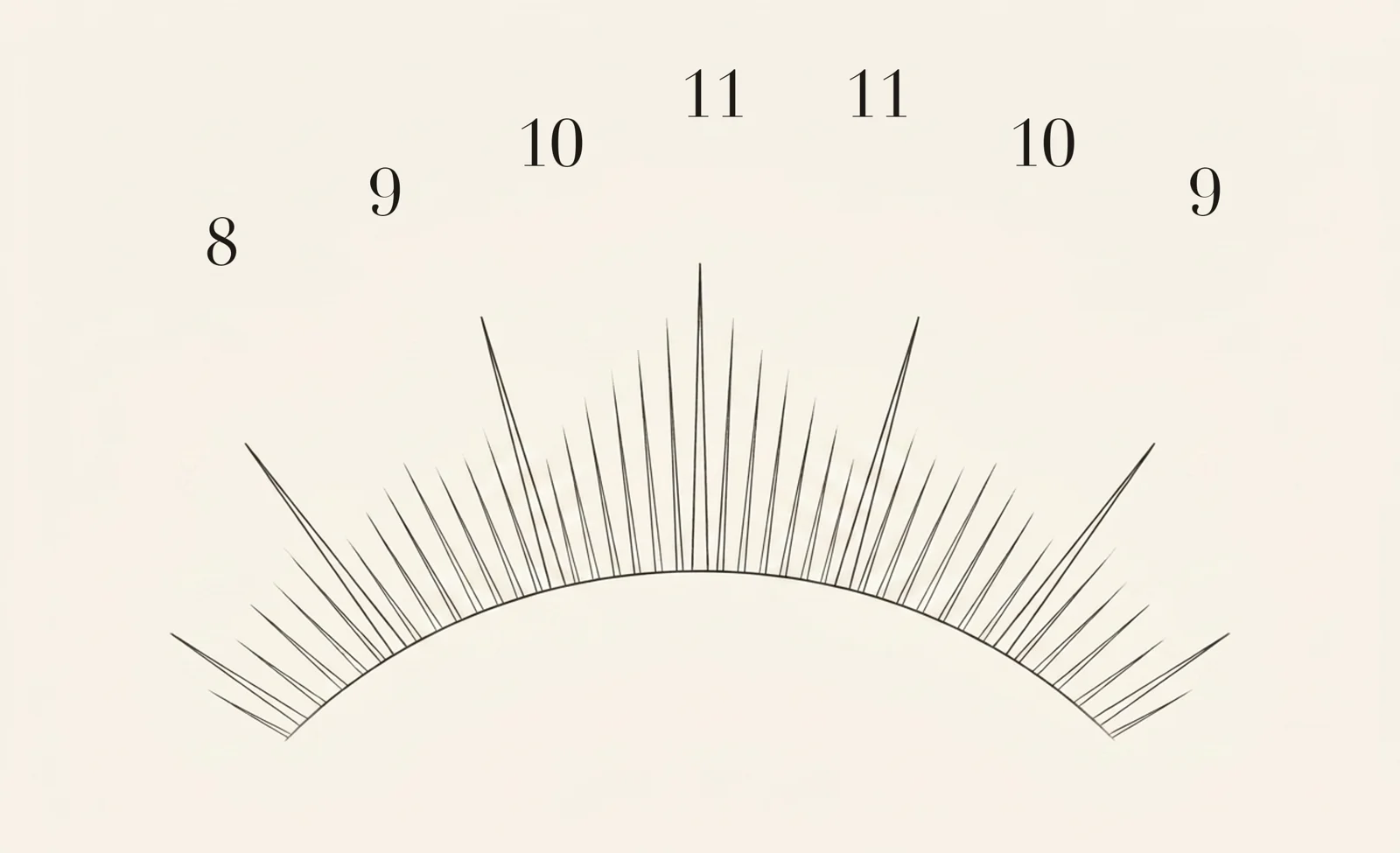Feathered / Wispy lash map — zone lengths 8, 9, 10, 11, 11, 10, 9 mm
