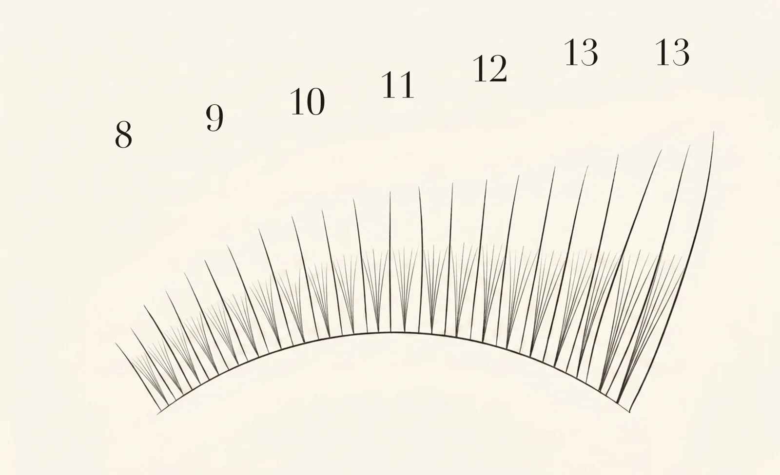 Fox Eye lash map — zone lengths 8, 9, 10, 11, 12, 13, 13 mm