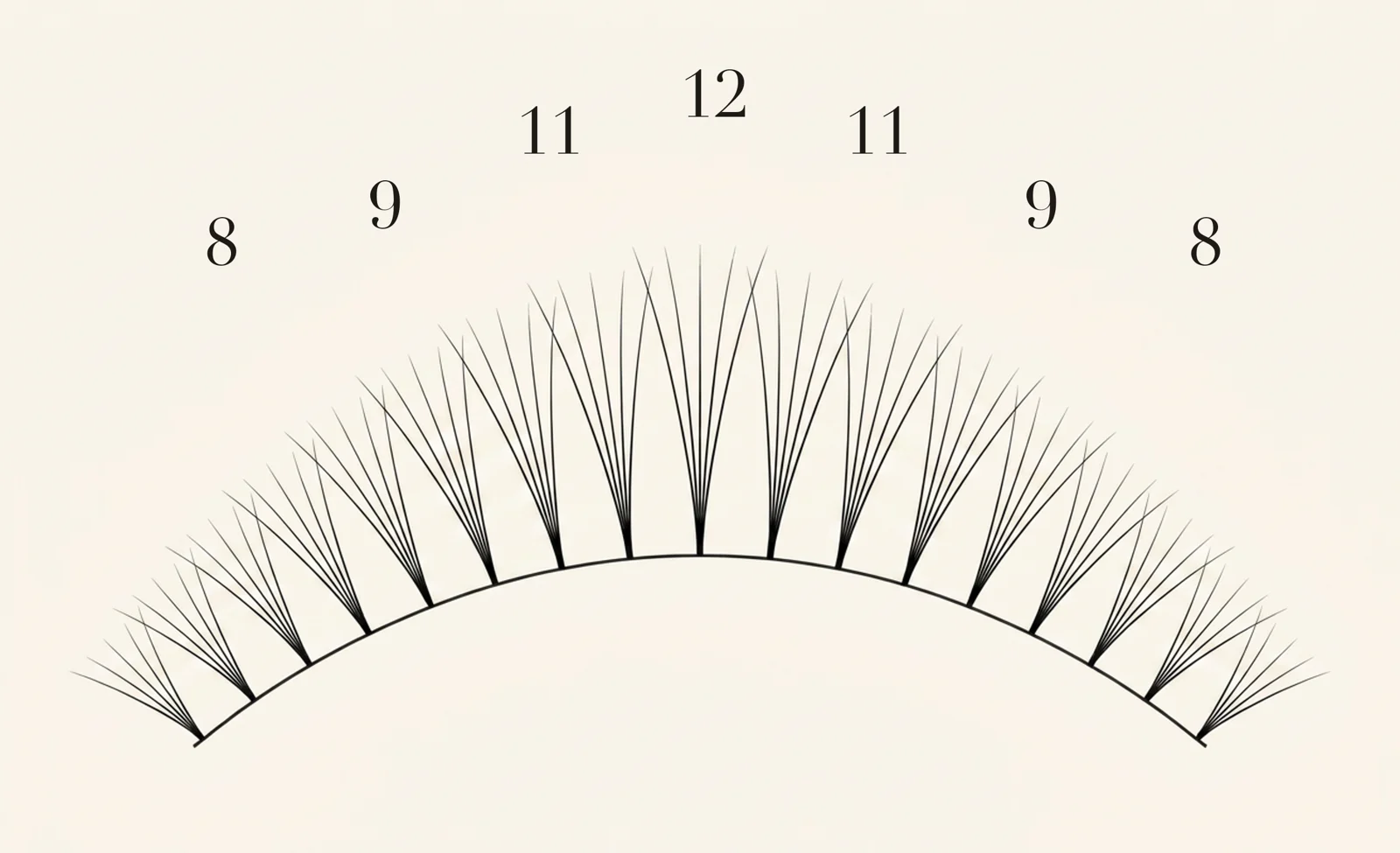 Glam / Mega lash map — zone lengths 8, 9, 11, 12, 11, 9, 8 mm