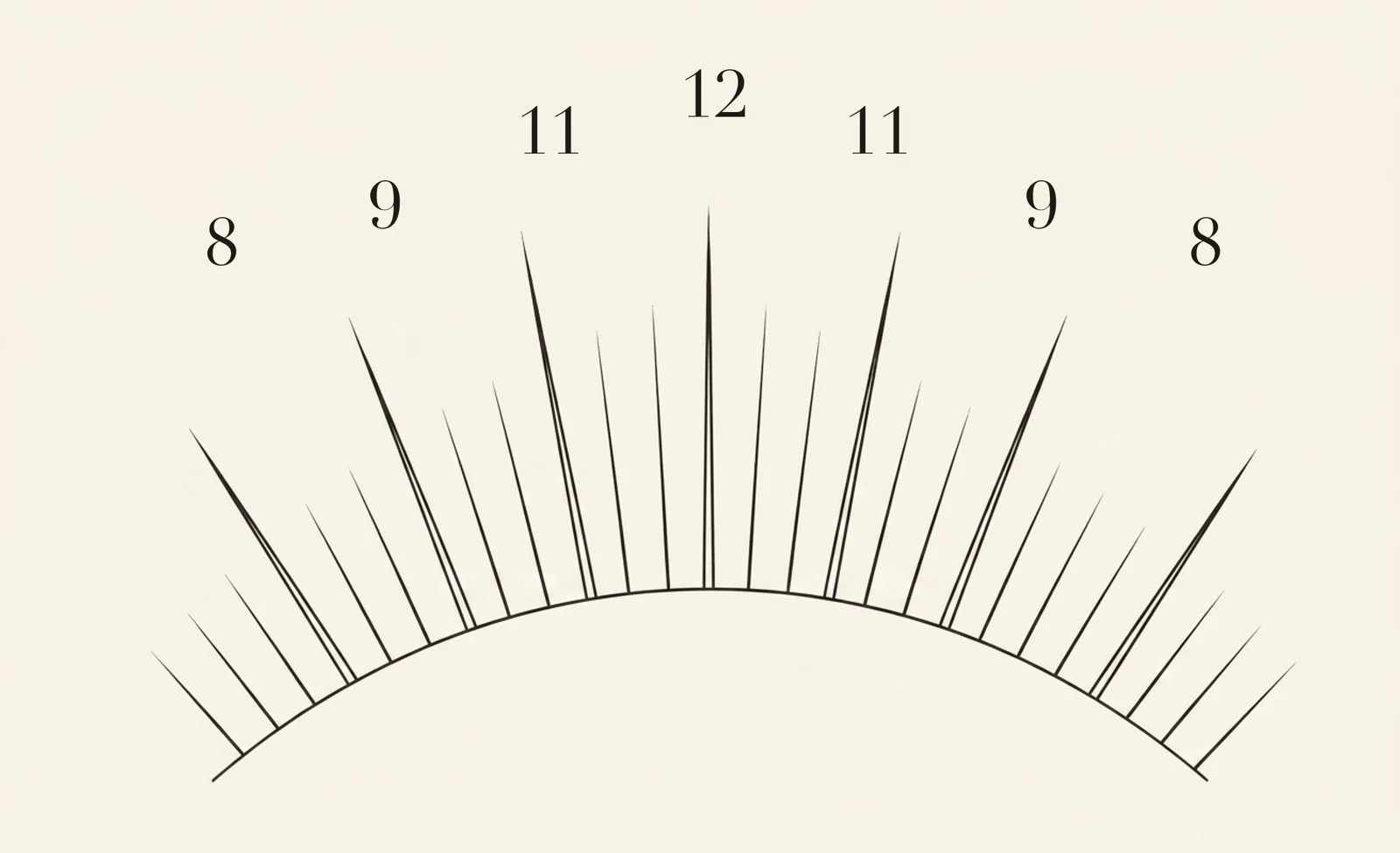 Kim K lash map — zone lengths 8, 9, 11, 12, 11, 9, 8 mm