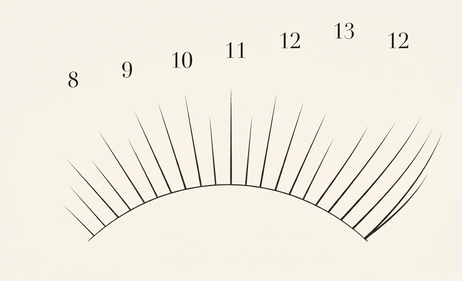 Kitten Eye lash map — zone lengths 8, 9, 10, 11, 12, 13, 12 mm