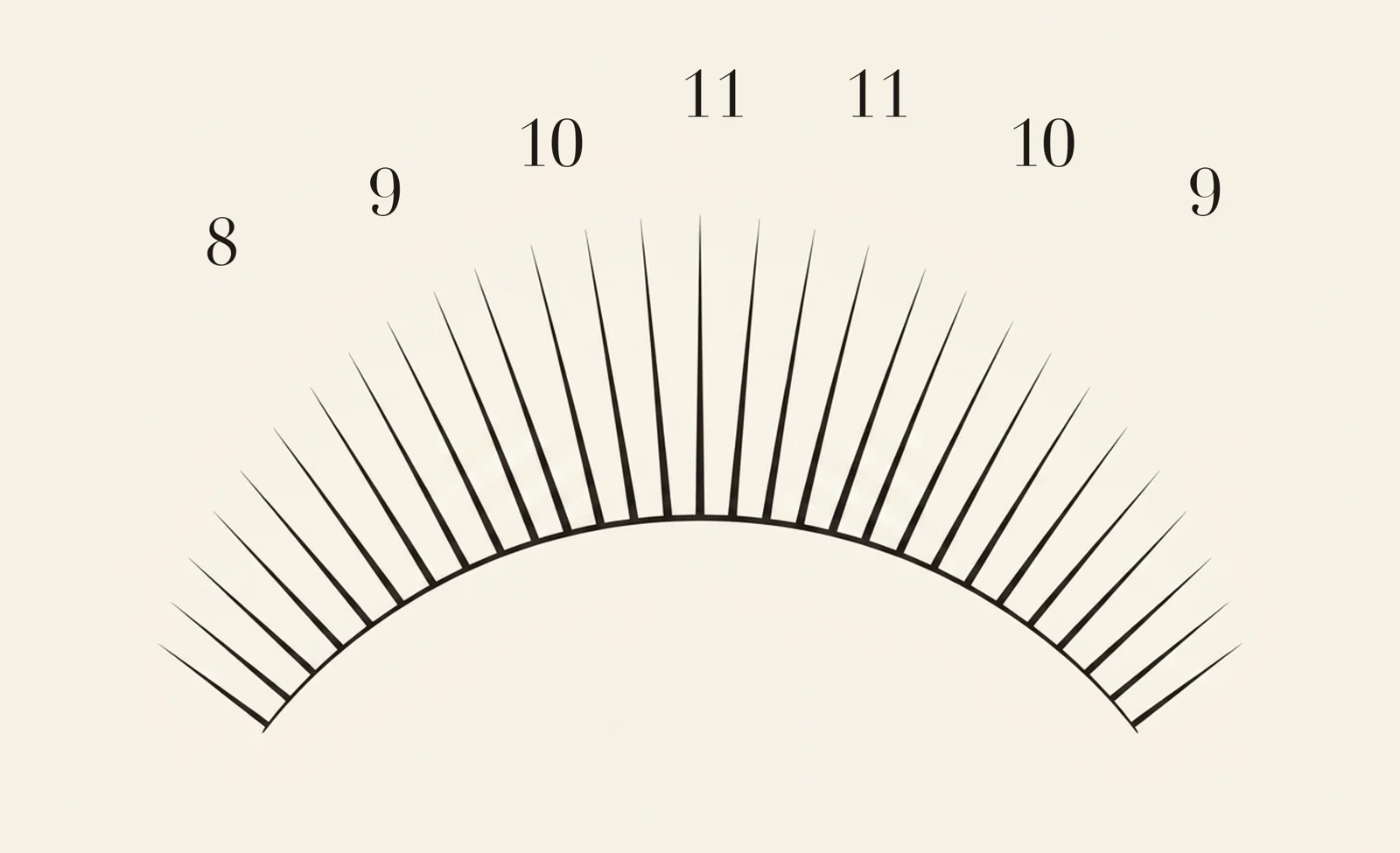 Natural lash map — zone lengths 8, 9, 10, 11, 11, 10, 9 mm