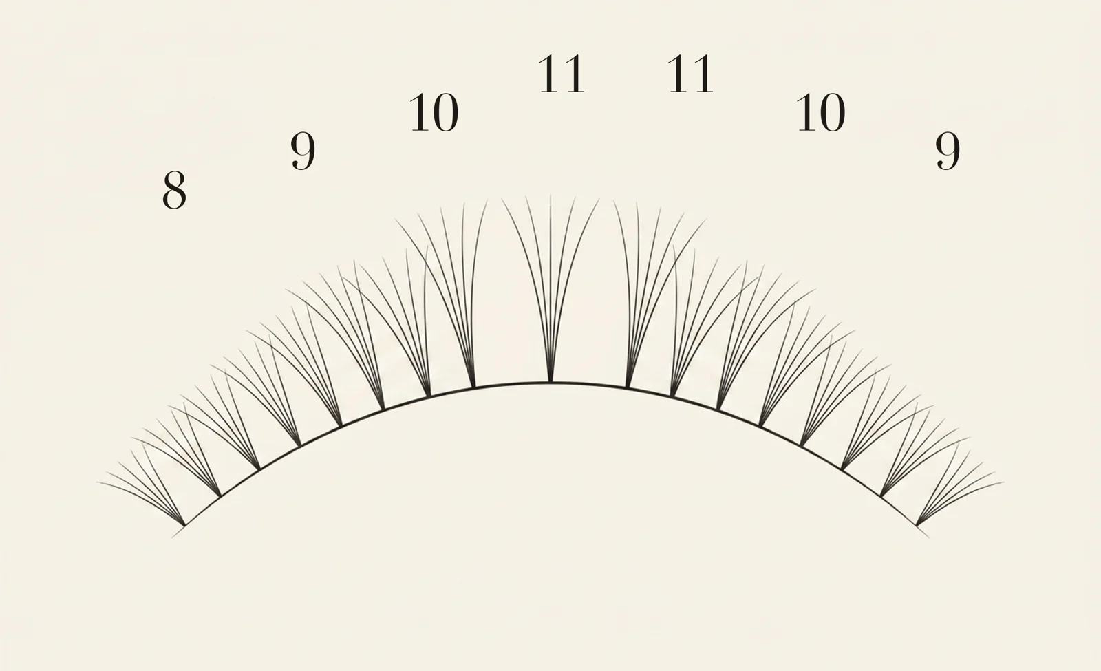 Wet Look lash map — zone lengths 8, 9, 10, 11, 11, 10, 9 mm