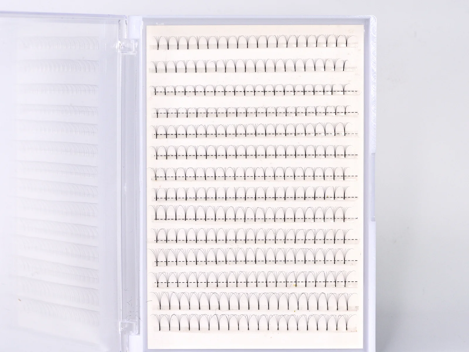 Standard premade fan lashes in a large plastic tray box with a clear lid, fans lined up row by row