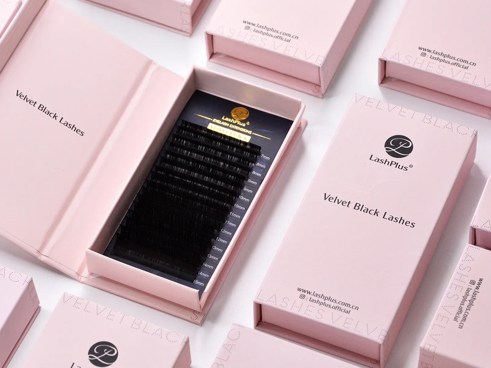 Wholesale lash extension trays at the LashPlus factory